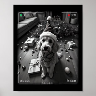 Julhund Fångad På Kamera Poster