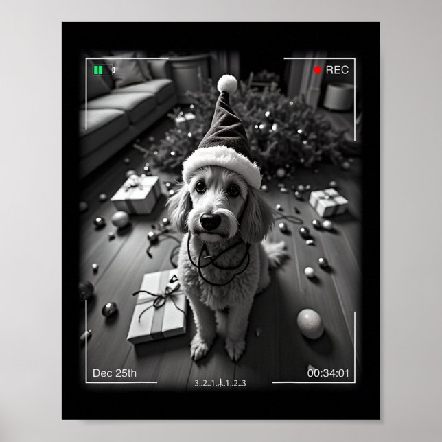Julhund Fångad På Kamera  Poster (Framsidan)