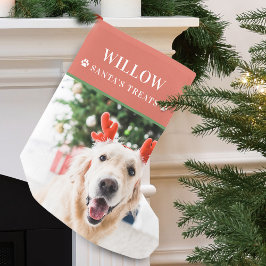 Julhund Foto Modern Liten Julstrumpa