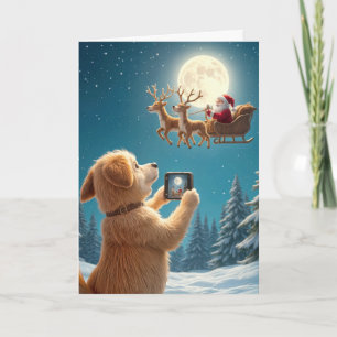 Julhund fotograferar tomte i släde kort