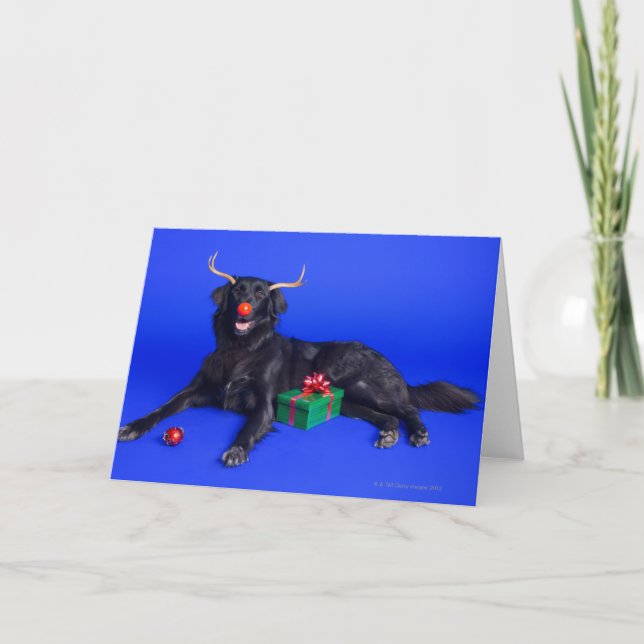 Julhund Helgkort (Framsida)