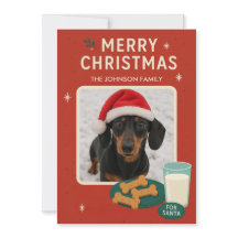 Julhund Kakor Julkort 