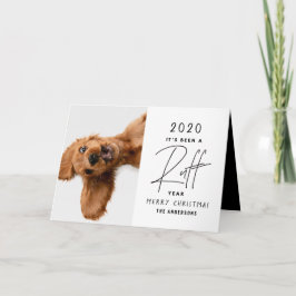 Julhund rolig off årssammanfattning kort