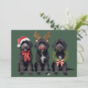 Julhund Svart Goldendoodle Doodle Mamma Vinter Julkort