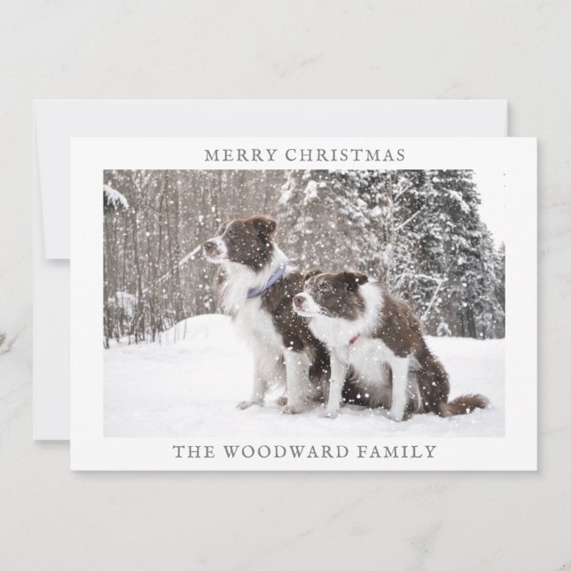 Julhundfoto Snö Julfirande Julkort (Framsida)