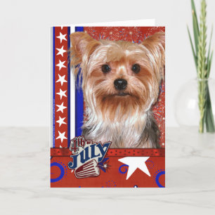 Juli 4:e firacker - Yorkshire Terrier Kort
