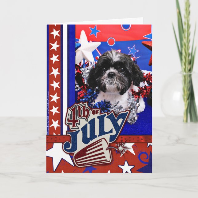 Juli 4th - Shih Tzu - Sadie Kort (Framsida)