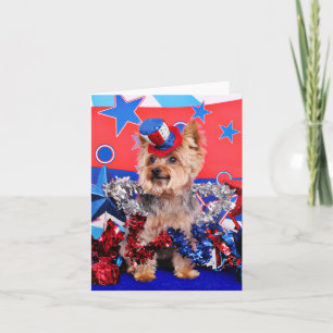 Juli 4th - Yorkie - Vinnie Kort