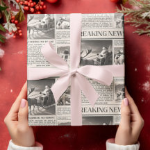 Juli Bear Breaking News Newspaper Hjort