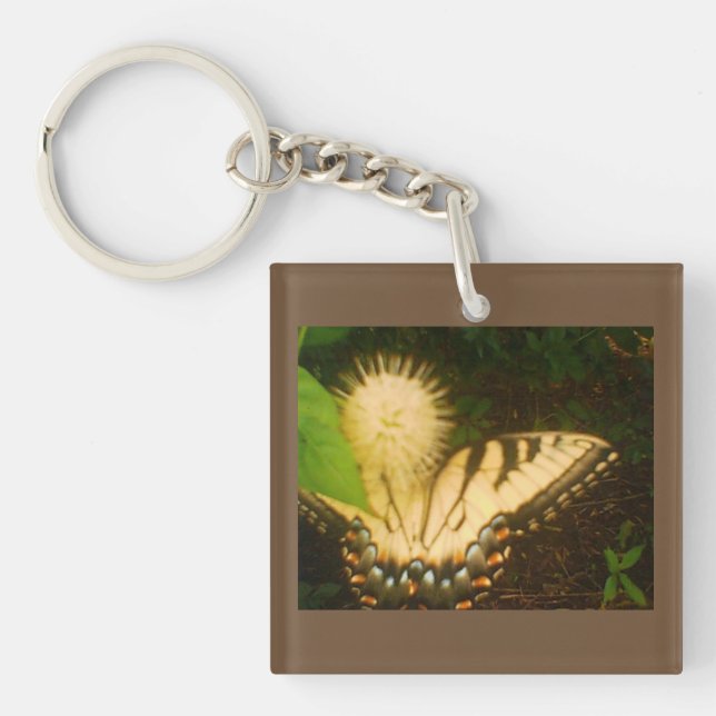 Juli Gult Monarch (Framsidan)