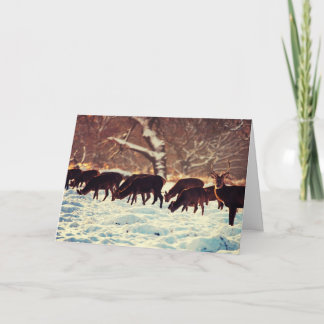 Juli-Hjorten Helgkort