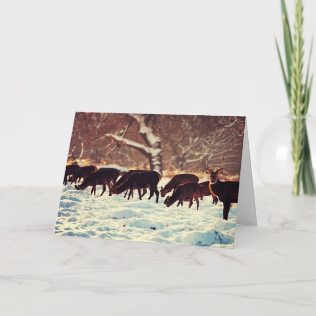 Juli-Hjorten Helgkort (Framsida)