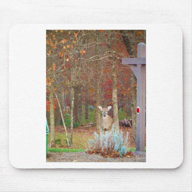 Juli-Hjorten Musmatta (Framsidan)