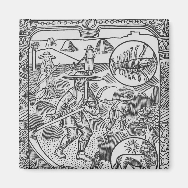 Juli, hösverk, cancer magnet (Framsidan)