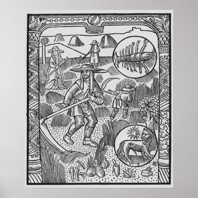 Juli, hösverk, cancer poster (Framsidan)