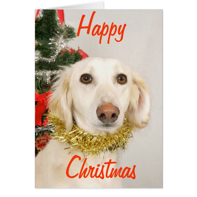 Juli-Hund 2 Hälsningskort (Framsidan)