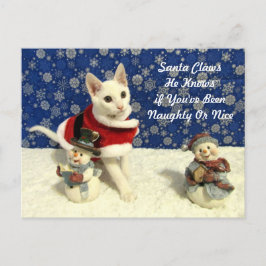 Juli - Katt/Kjolvykort Helg Vykort