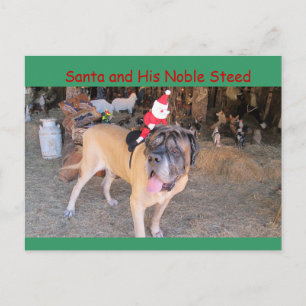 Juli Mastiff hund Postcard Postcross Helg Vykort