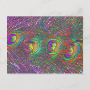 Juli - peacock Feathers-vykort Vykort