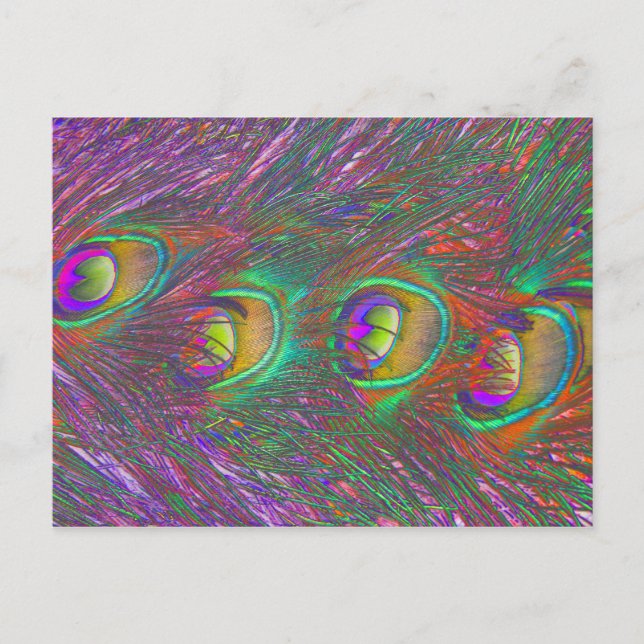 Juli - peacock Feathers-vykort Vykort (Framsida)