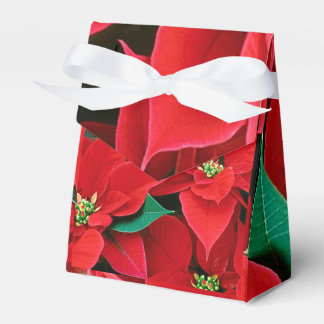 Juli Poinsettia Favor Box Presentaskar