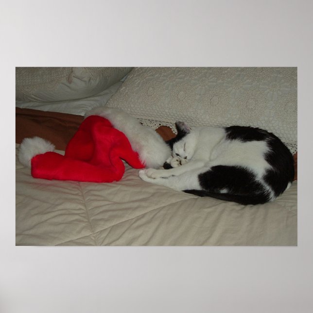 Juli Poster (Framsidan)