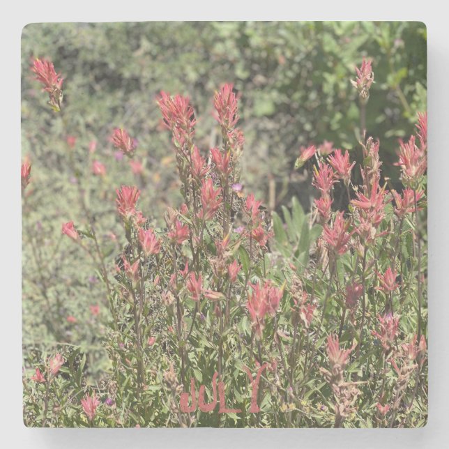 Juli Sten Show Stenunderlägg (Framsidan)