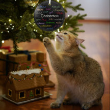 Juli-Världen runt i Black Circle