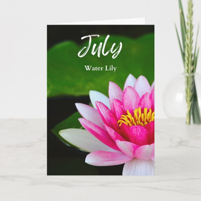 Juli Vibrant Rosa Vatten Lily Birth Month Flower Kort (Framsida)