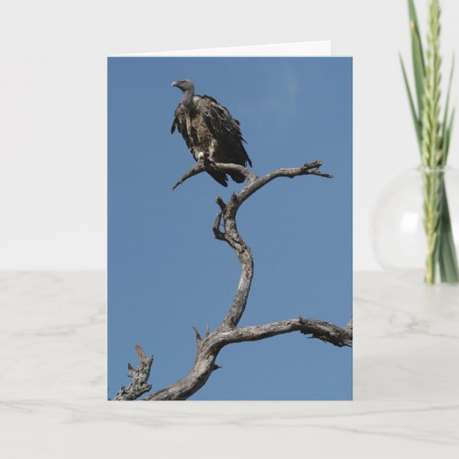 Juli Vultur Helgkort (Framsida)