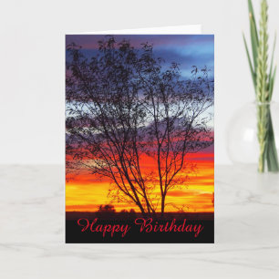 Julia Bäck sunset silhouette blankfödelsedagskort Kort
