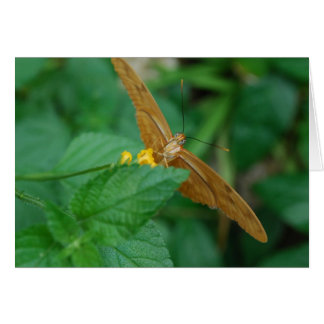 Julia Butterfly Hälsningskort