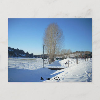 Julian, CA Vykort