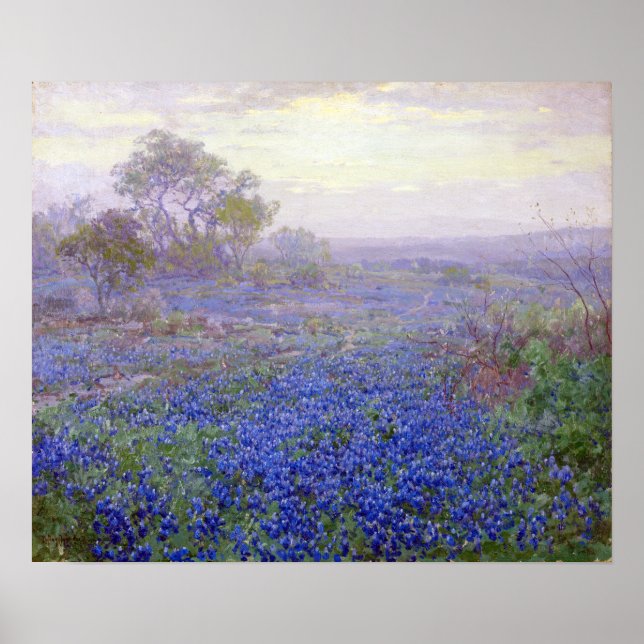 Julian Onderdonk A Cloudy Day, Bluebonnets Poster (Framsidan)