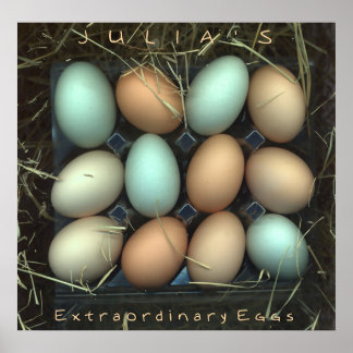 Julia's Extraordinära Eggs Poster