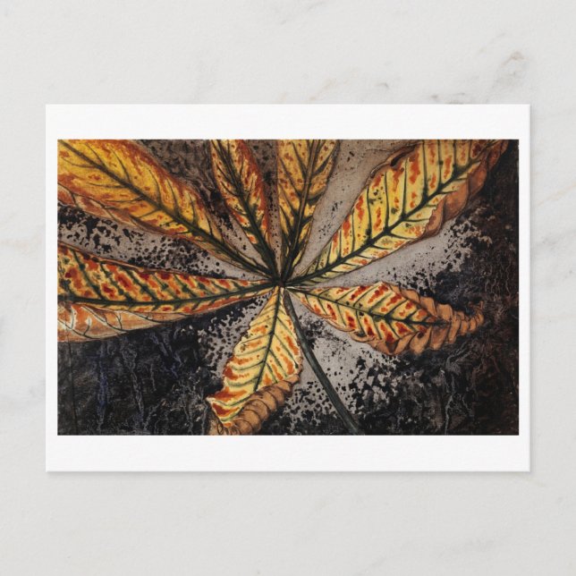 Julie de Graag vykort (Framsida)