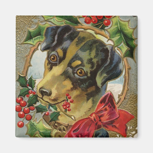 Julig Dachshund-valp med järnek Magnet (Framsidan)