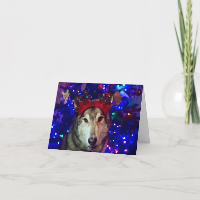 Julig Husky Tack Kort (Framsida)