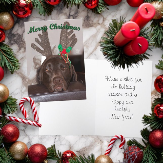 Julig julhund med glitterhorn helgkort (Folding Christmas card with cover and inside )