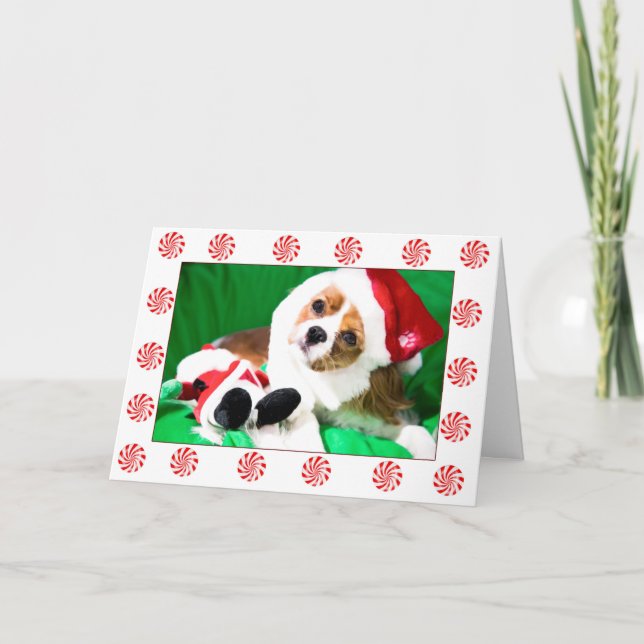 Julig julsäljande Cavalier King Charles-valpkort Helgkort (Framsida)
