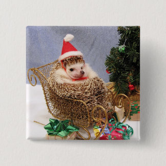 Juligelkotten klämmer fast knapp