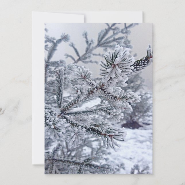 Julinbjudan,Julgran under snö Inbjudningar (Framsida)