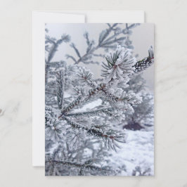 Julinbjudan,Julgran under snö Inbjudningar