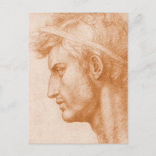 Julius Caesar av Andrea del Sarto Vykort