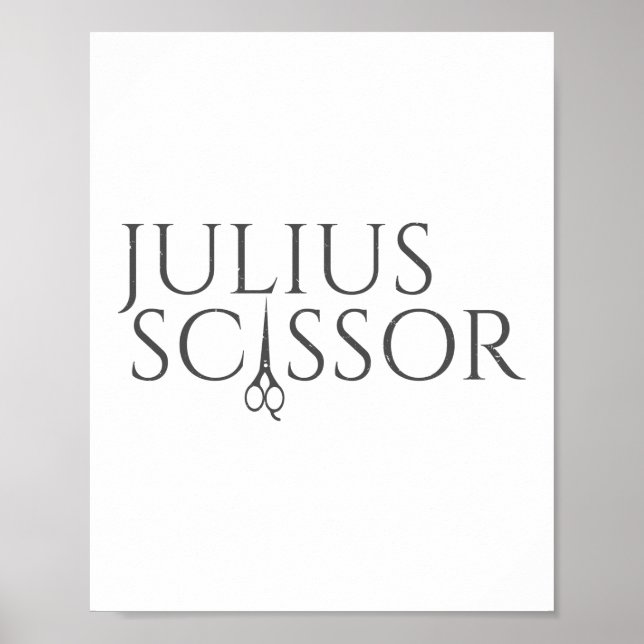 Julius Scissor Hair Stylist Hairdresser Barber Poster (Framsidan)