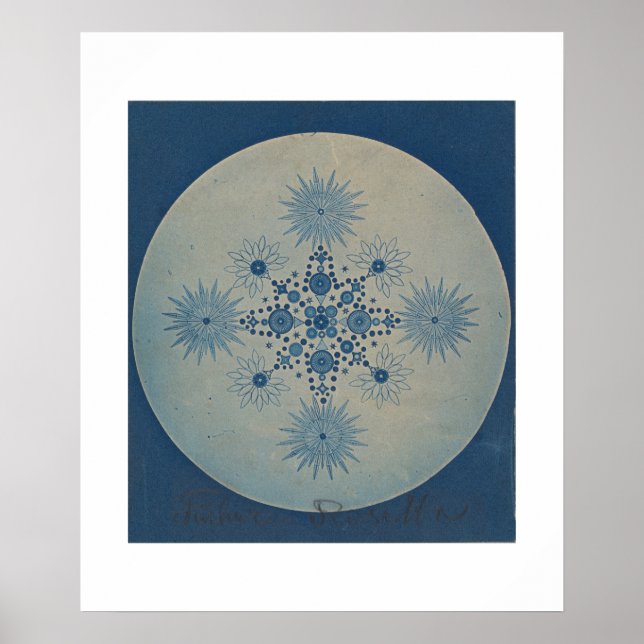 Julius Wiesners författare av diplomaterna Poster (Framsidan)