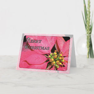 Juljulstjärna Helgkort