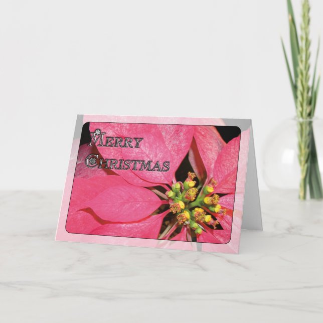 Juljulstjärna Helgkort (Framsida)