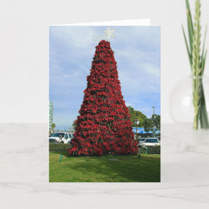 Juljulstjärnaträd i San Diego Helgkort