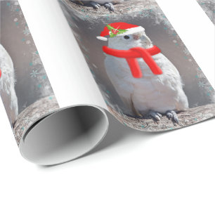 Julkakadua som slår in papper presentpapper